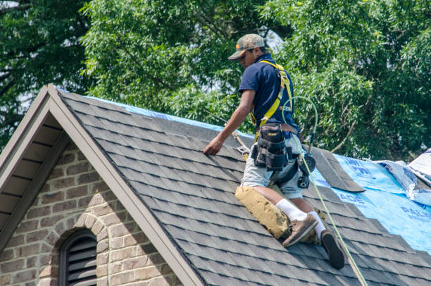 Best Roof Leak Repair  in Charleston, IL